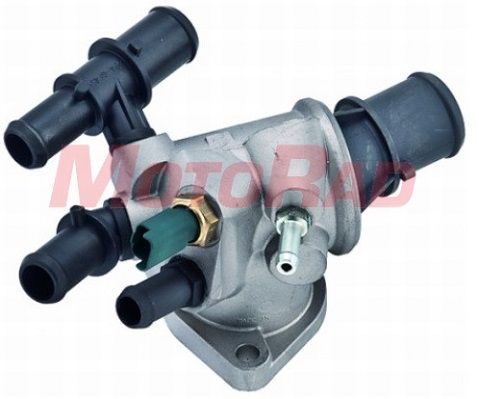 Termostatas, aušinimo skystis MOTORAD 984-88K