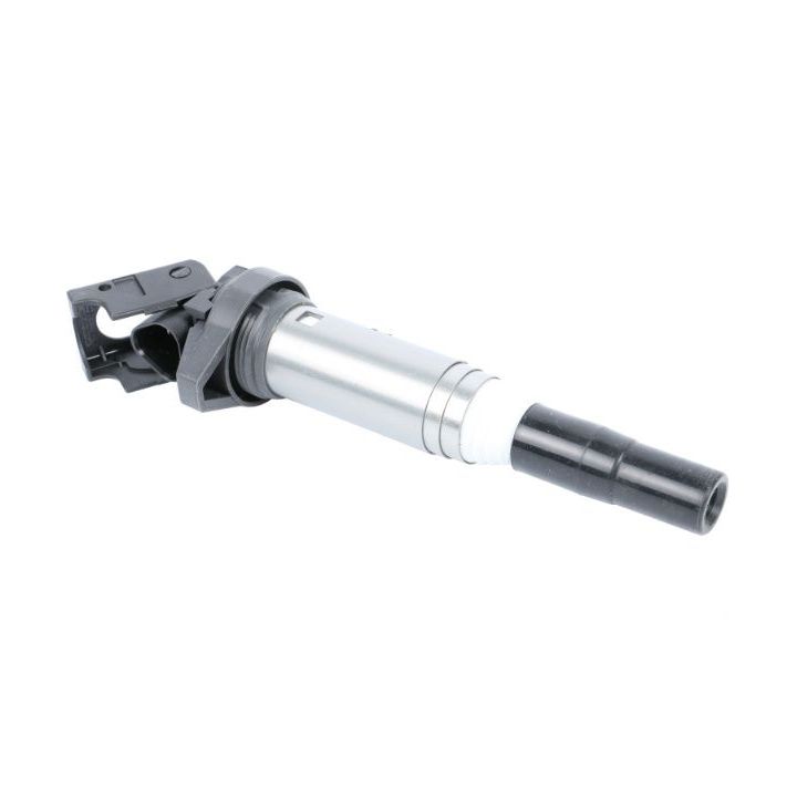 Ritė, uždegimas MOTORAD 1IC124