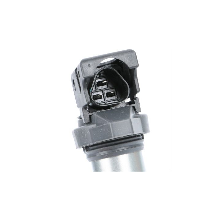 Ritė, uždegimas MOTORAD 1IC124