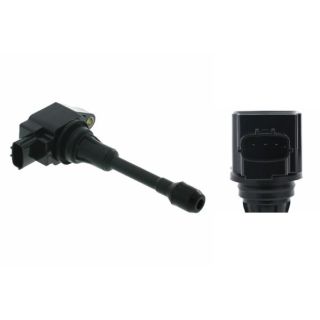 Ritė, uždegimas MOTORAD 1IC135