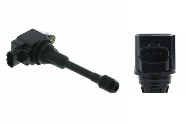 Ritė, uždegimas MOTORAD 1IC135