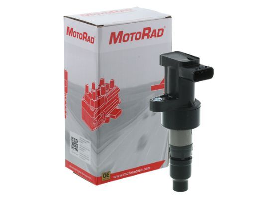 Ritė, uždegimas MOTORAD 1IC163