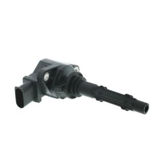 Ritė, uždegimas MOTORAD 1IC195