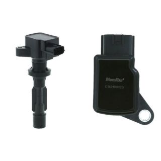 Ritė, uždegimas MOTORAD 1IC233