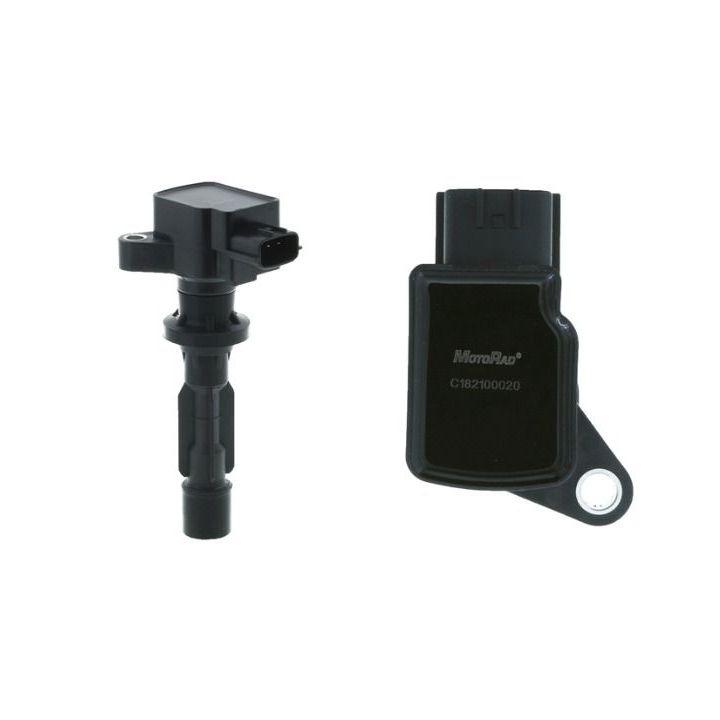 Ritė, uždegimas MOTORAD 1IC233