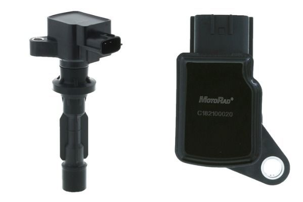 Ritė, uždegimas MOTORAD 1IC233