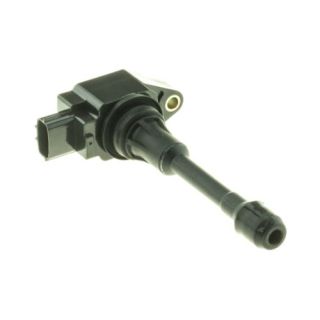 Ritė, uždegimas MOTORAD 1IC288