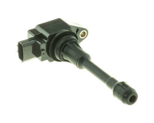 Ritė, uždegimas MOTORAD 1IC288