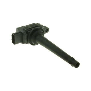 Ritė, uždegimas MOTORAD 1IC339