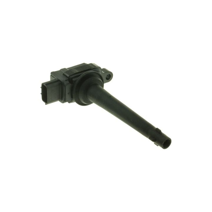 Ritė, uždegimas MOTORAD 1IC339