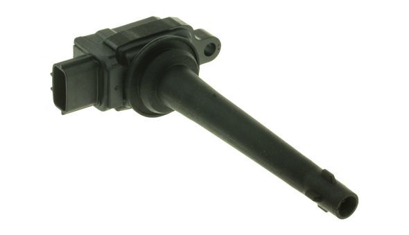 Ritė, uždegimas MOTORAD 1IC339