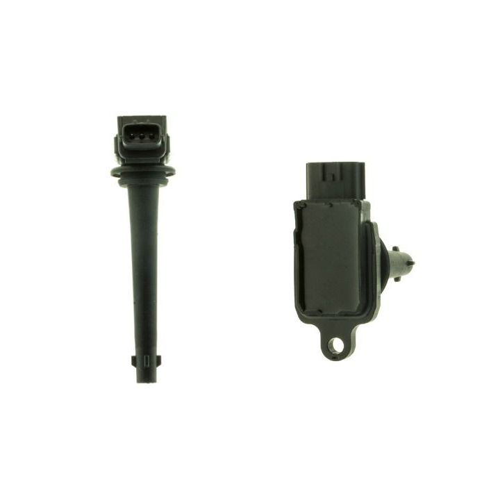 Ritė, uždegimas MOTORAD 1IC339