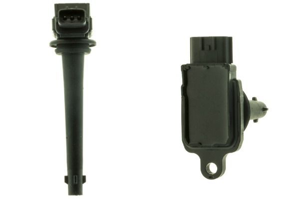 Ritė, uždegimas MOTORAD 1IC339