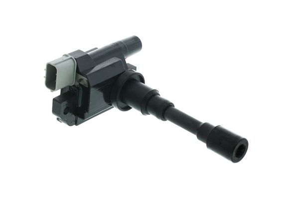 Ritė, uždegimas MOTORAD 1IC352