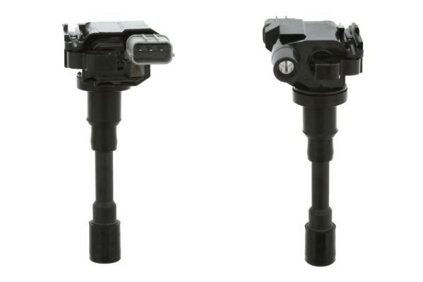 Ritė, uždegimas MOTORAD 1IC352