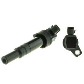 Ritė, uždegimas MOTORAD 1IC474