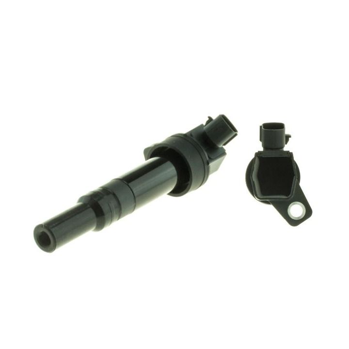 Ritė, uždegimas MOTORAD 1IC474