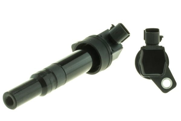 Ritė, uždegimas MOTORAD 1IC474