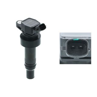 Ritė, uždegimas MOTORAD 1IC475