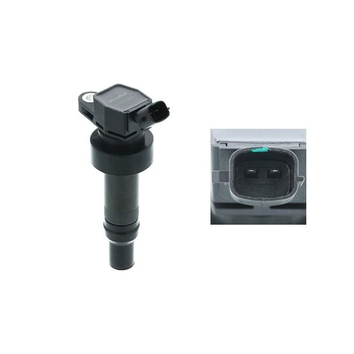 Ritė, uždegimas MOTORAD 1IC475