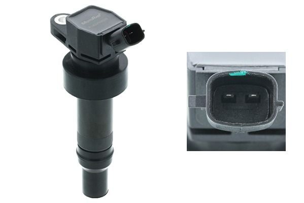 Ritė, uždegimas MOTORAD 1IC475