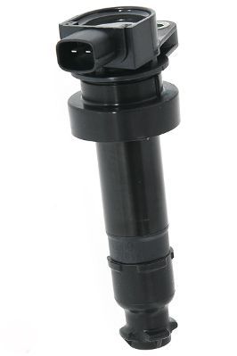 Ritė, uždegimas MOTORAD 1IC491