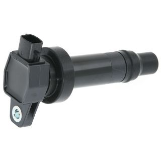 Ritė, uždegimas MOTORAD 1IC779