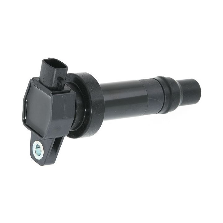 Ritė, uždegimas MOTORAD 1IC779