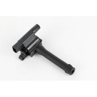 Ritė, uždegimas MOTORAD 1IC797