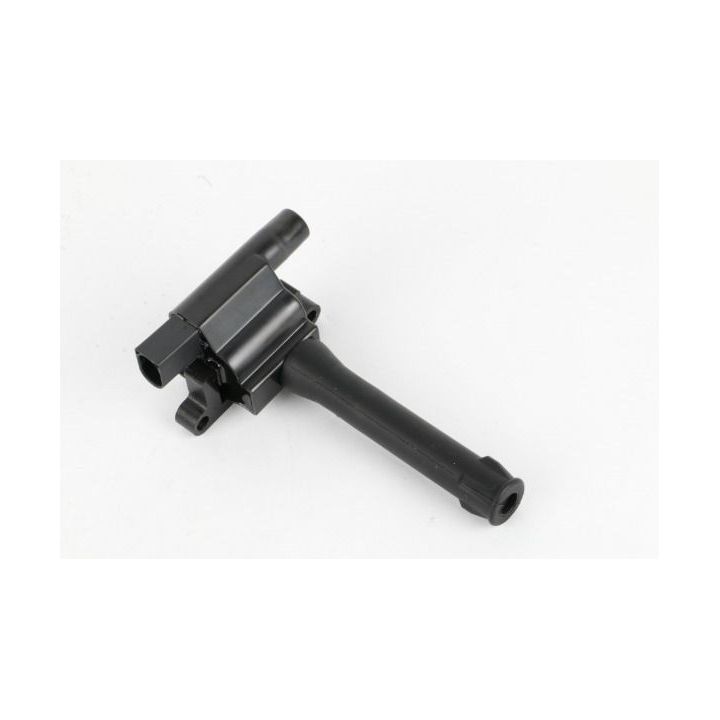 Ritė, uždegimas MOTORAD 1IC797