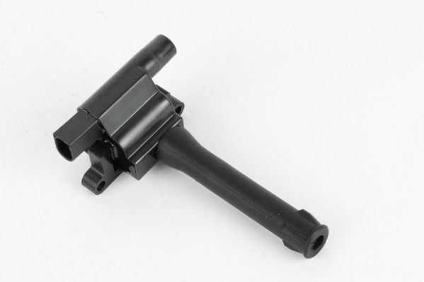 Ritė, uždegimas MOTORAD 1IC797