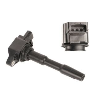 Ritė, uždegimas MOTORAD 1IC801