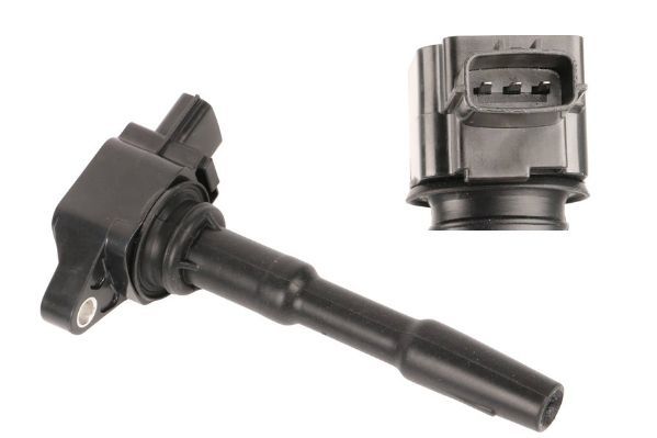 Ritė, uždegimas MOTORAD 1IC801