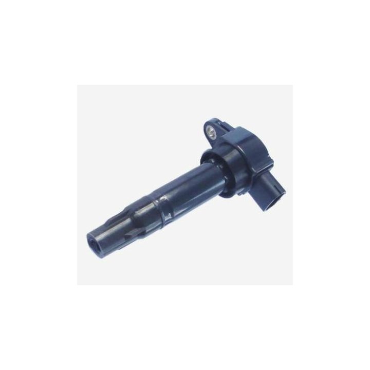 Ritė, uždegimas MOTORAD 1IC806