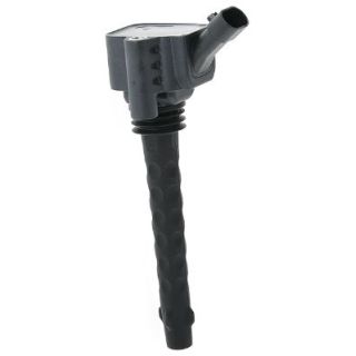 Ritė, uždegimas MOTORAD 1IC809