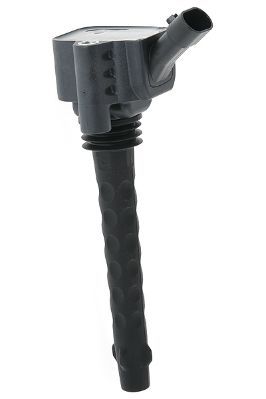 Ritė, uždegimas MOTORAD 1IC809