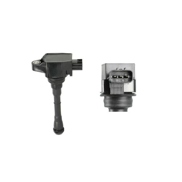 Ritė, uždegimas MOTORAD 2IC789