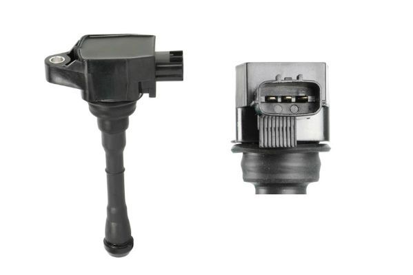 Ritė, uždegimas MOTORAD 2IC789