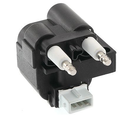 Ritė, uždegimas MOTORAD 2IC799