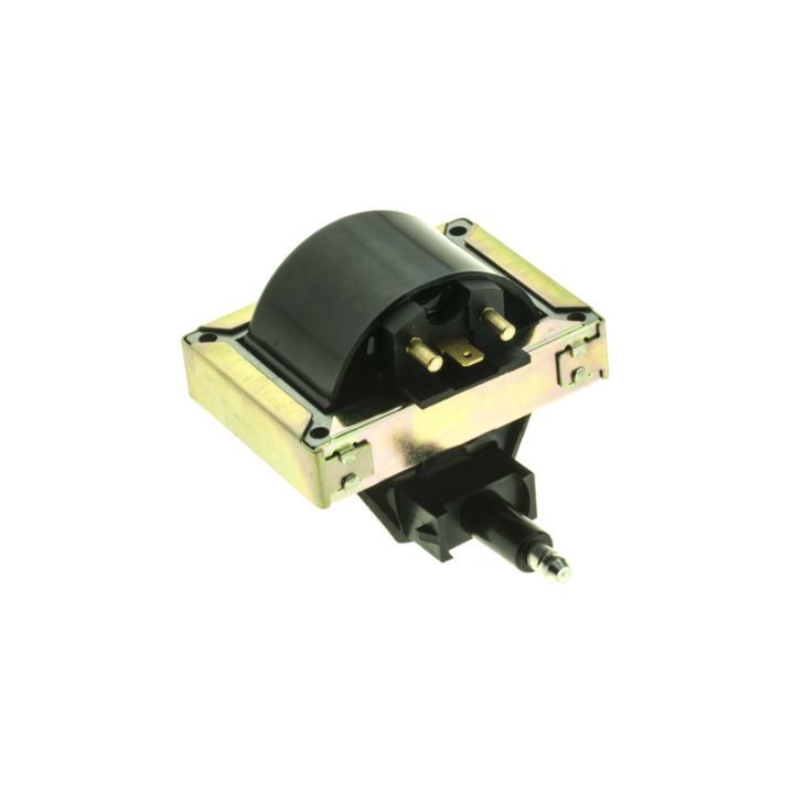 Ritė, uždegimas MOTORAD 3IC193