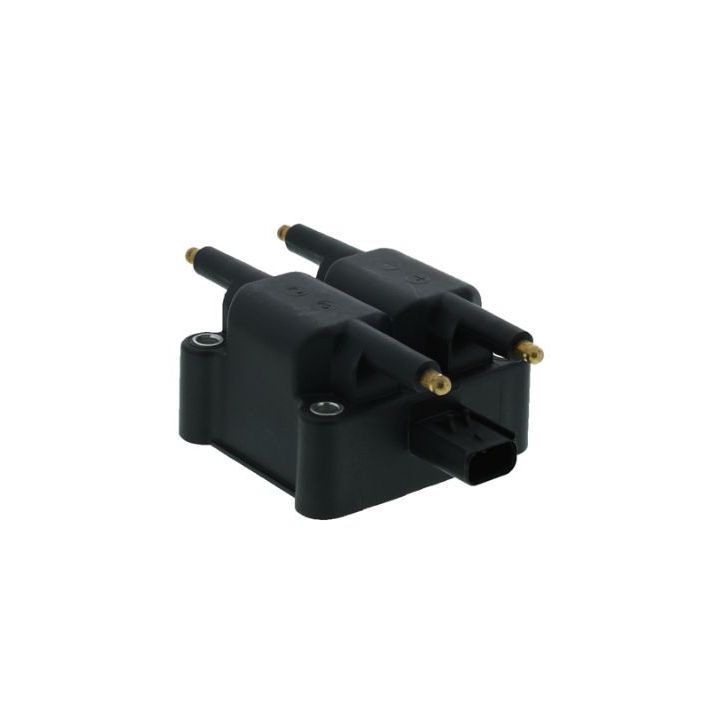 Ritė, uždegimas MOTORAD 3IC400