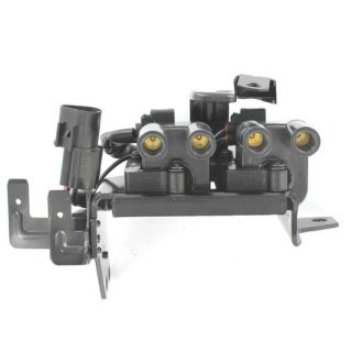 Ritė, uždegimas MOTORAD 3IC780