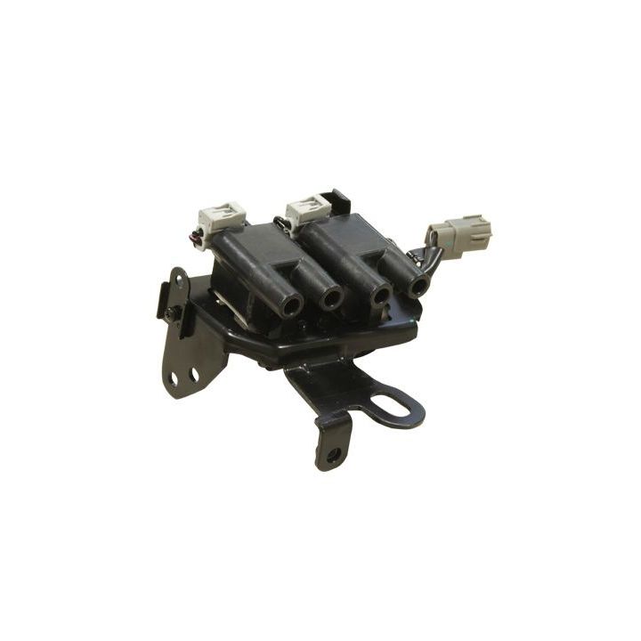 Ritė, uždegimas MOTORAD 4IC239