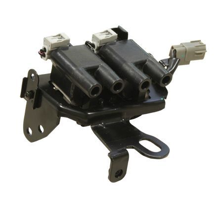 Ritė, uždegimas MOTORAD 4IC239