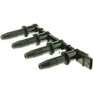 Ritė, uždegimas MOTORAD 7IC444