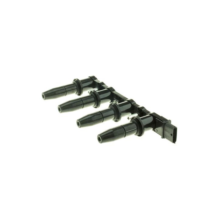 Ritė, uždegimas MOTORAD 7IC444