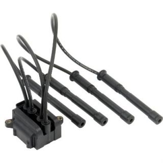 Ritė, uždegimas MOTORAD 7IC829