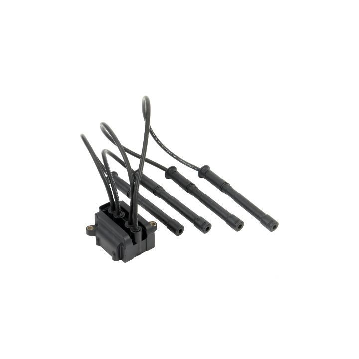 Ritė, uždegimas MOTORAD 7IC829