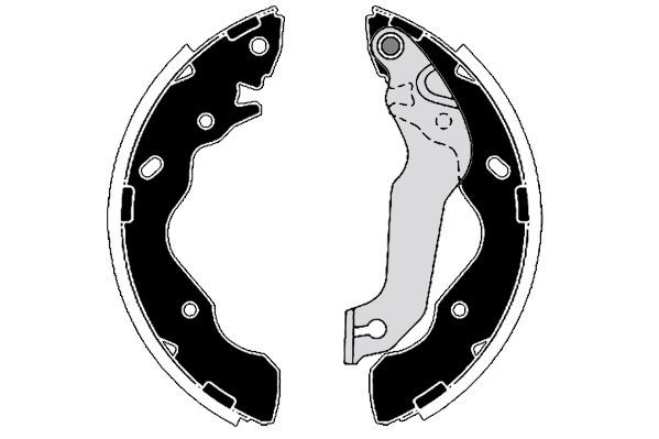 Stabdžių trinkelių komplektas RAICAM RA29580