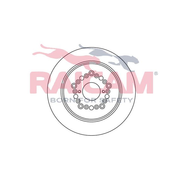 Stabdžių diskas RAICAM RD00817